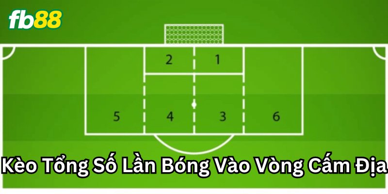 Cách soi Kèo Tổng Số Lần Bóng Vào Vòng Cấm Địa