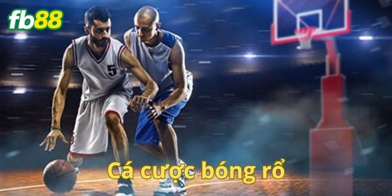 Các kèo cá độ bóng rổ