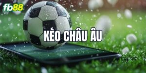 Giới thiệu kèo 1x2