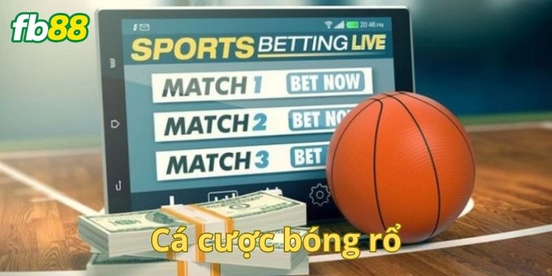 Mẹo cá độ bóng rổ